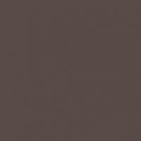 Molasses paint color DE6399 #574A47