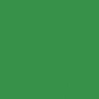 Wild Forest paint color DEA127 #38914A