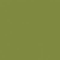 Sea Turtle paint color DEA170 #818A40