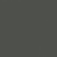 Iron River paint color DEA176 #4D504B