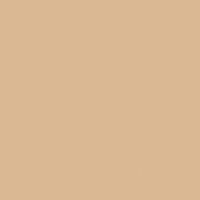 Friar Tuck paint color DEC714 #DDB994