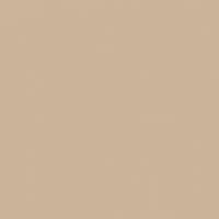 beige paint swatch