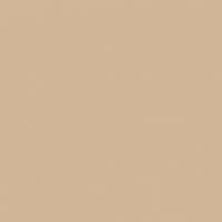 Slopes paint color DEC721 #D2B698