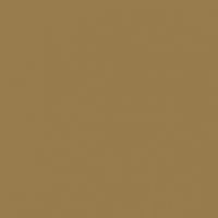 Alluring Umber paint color DEC730 #977B4D