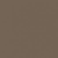 Cocoa paint color DEC755 #736354