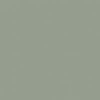 Sycamore Stand DEC781 Paint Color #959E8F | Dunn-Edwards Paints