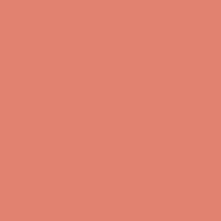 Pottery Clay paint color DET437 #E0816F