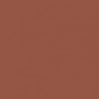 Prairie Clay paint color DET450 #935444