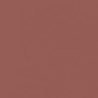 Copper Mining paint color DET455 #945C54