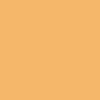 Citrus Honey paint color DET461 #F6B96B