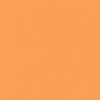 Bittersweet paint color DET462 #FEA051