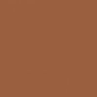Harrison Rust paint color DET467 #9A5F3F