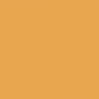 Zucchini Flower paint color DET478 #E8A64E