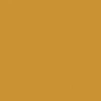 Alameda Ochre paint color DET482 #CA9234
