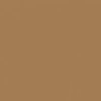 Burnt Butter paint color DET483 #A47C53