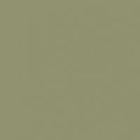 Desert Sage paint color DET505 #90926F