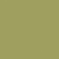 Gothic Revival Green paint color DET507 #A0A160