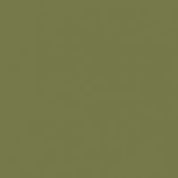 Verdant Views paint color DET508 #75794A