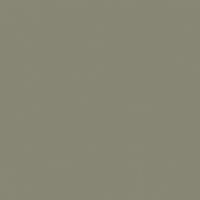 Gunsmoke paint color DET510 #878573
