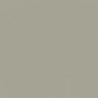 Whale Watching paint color DET512 #A5A495
