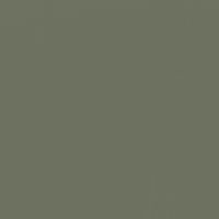 Shutters paint color DET519 #6C705E