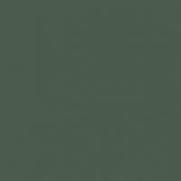 Greener Pastures paint color DET529 #495A4C