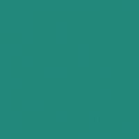 Palm Springs Splash paint color DET536 #20887A