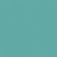 Veranda paint color DET543 #61A9A5