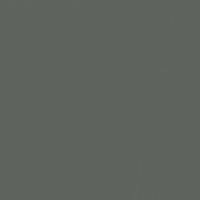 Charcoal Briquette paint color DET601 #5D625C