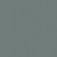 Gray Monument paint color DET602 #707C78