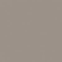 Portobello Mushroom paint color DET622 #9D928A