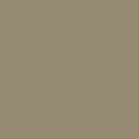 Tawny Owl paint color DET640 #978B71