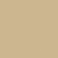 Warm and Toasty paint color DET646 #CBB68F