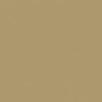 Sunbaked Adobe paint color DET652
