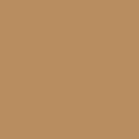Mission Gold paint color DET685 #B78D61