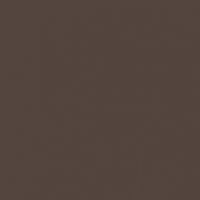 Spiced Hot Chocolate paint color DET691 #53433E