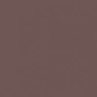 Bourbon Truffle paint color DET699 #6C5654