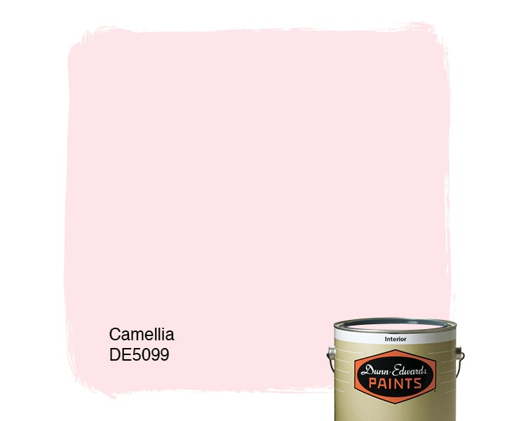 Camellia paint color DE5099