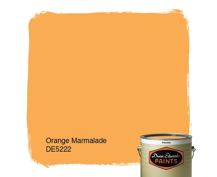 Orange Marmalade paint color DE5222