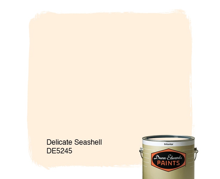 Delicate Seashell paint color DE5245