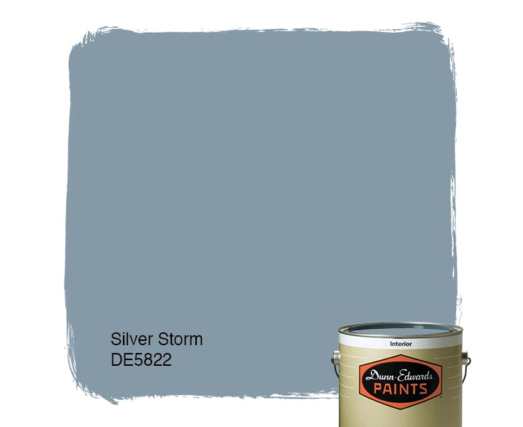 Silver Storm paint color DE5822