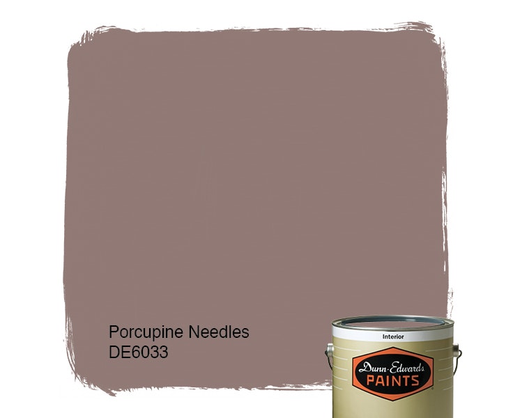 Porcupine Needles paint color DE6033