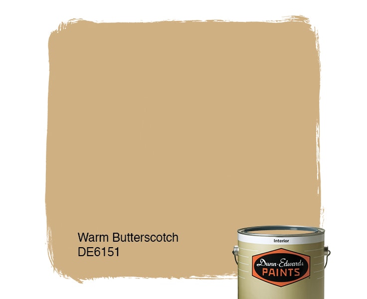 Warm Butterscotch paint color DE6151