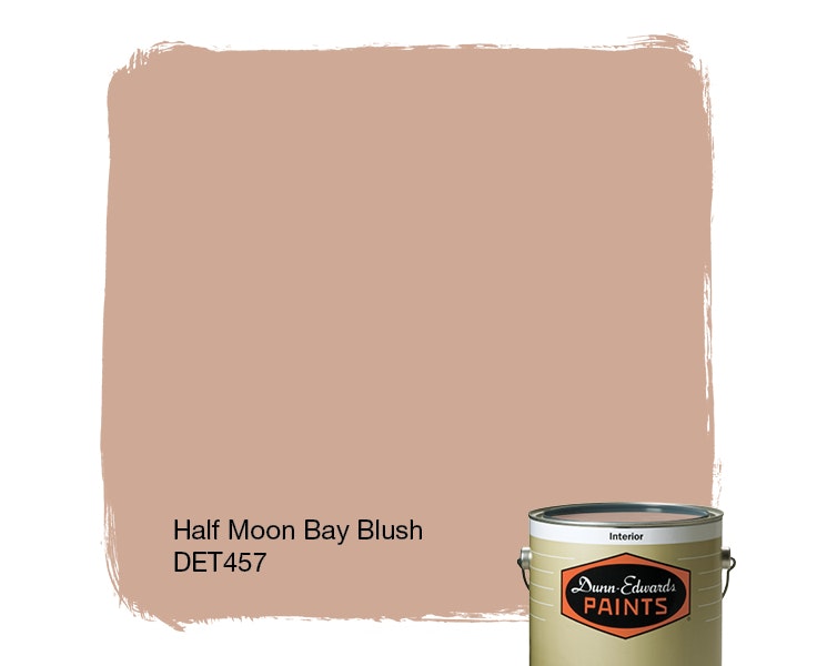 Half Moon Bay Blush paint color DET457