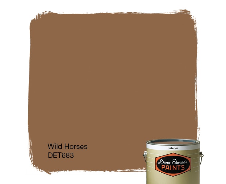 Wild Horses paint color DET683